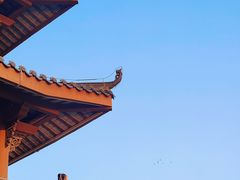 -惠州西湖丰渚园