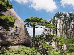 -黄山风景区