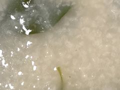 -有心德(麦地店)