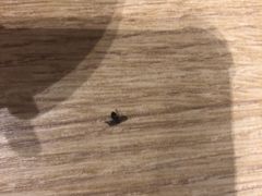 -百富烤霸 烤鸡汉堡(长江路店)