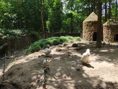 -昆山城市生态森林公园