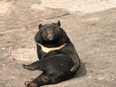-大连森林动物园