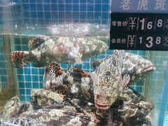 -庆赫隆融合菜馆(群力店)