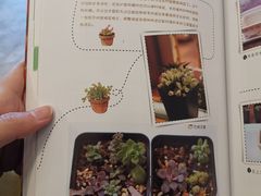 -五峰书院(南洋泾路店)