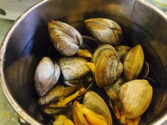 -渔娘渔家丹东海鲜(东直门店)