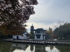 -红梅公园