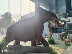 -中国第四纪冰川遗迹陈列馆