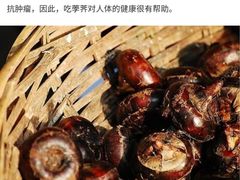 -老人和饭店(打浦路店)