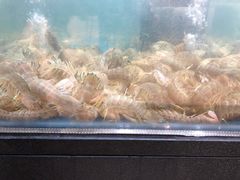 -盒马鲜生(曜一城店)