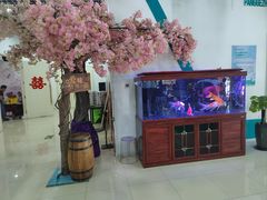 -西瓜小镇