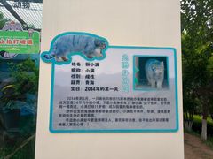 -青藏高原野生动物园