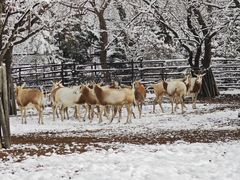 -济南野生动物世界