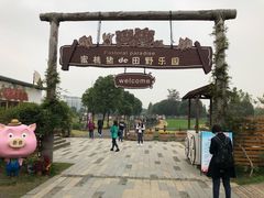 -田园东方蜜桃村的田野营地