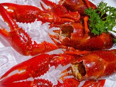 -同福龙虾(高新店)