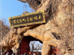 -大槐树寻根祭祖园