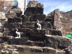 -大岭沟猕猴桃谷风景区