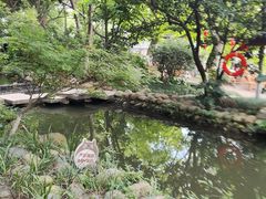 -成都市活水公园