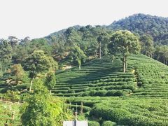 -西湖风景区十里琅珰-五云山