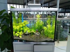 -南通洲际绿博园