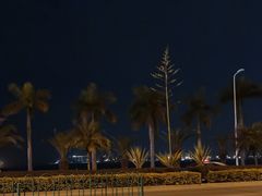 -白城沙滩