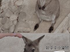 -呀路古热带植物园