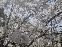 -徐家汇源景区-衡山公园