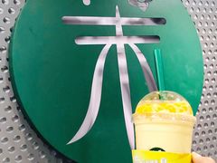 -茉酸奶(春熙路店)