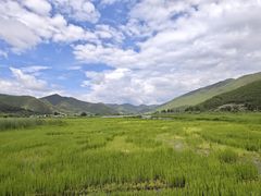 -丽江泸沽湖景区-里格半岛