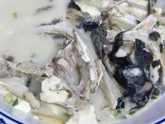 -全乐鱼馆·淳牌有机鱼直营店