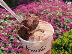 -VENCHI 闻绮(上海佛罗伦萨小镇店)