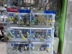 -三旗百汇商品城