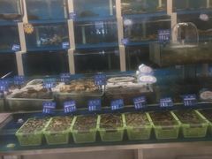 -品海楼·大连海胆锅贴馆(东港店)