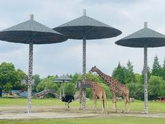 -宁波野生动物园