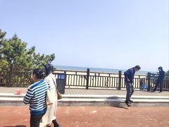 -日照海滨国家森林公园