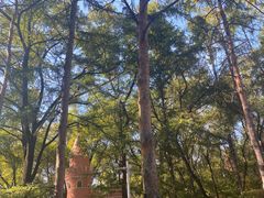 -黑龙江省森林植物园
