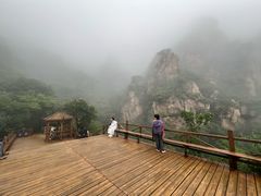 -大岭沟猕猴桃谷风景区