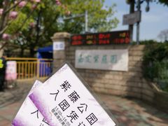 -嘉定紫藤园