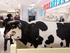 -CAKE BOSS 蛋糕老板(西单君太百货店)