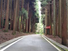 -武陵山森林公园