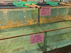 -荔城生鲜盛宴(番禺旗舰店)