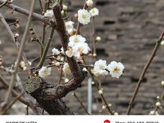 -北京明城墙遗址公园