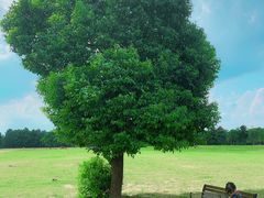 -山明水秀大饭店