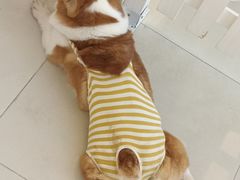 -怪兽屋·羊驼·猫咖·狗咖(俊华广场店)