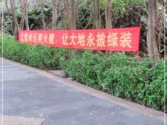 -水濂山森林公园