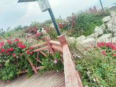-养马岛旅游度假区