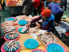 -西归浦每天偶来市场