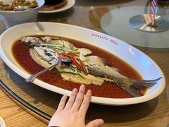 -丹江渔村(望京店)