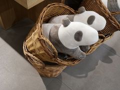 -MUJI无印良品(华懋店)