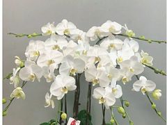 -EPOQUE·一刻花店(兴业太古汇店)