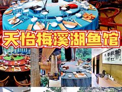 -天怡·鱼工厂(梅溪湖店)